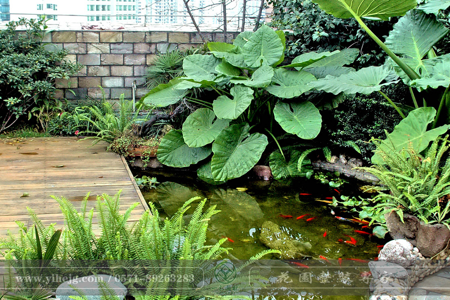 露臺花園｜露臺假山水溪景觀｜露臺木平臺景觀設(shè)計｜私家小露臺景觀綠化